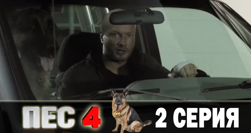 Пес (сериал) 4 сезон 2 серия смотреть онлайн в качестве 4K