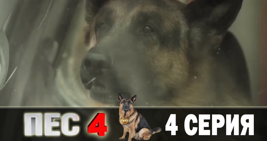 Смотреть сериал Пес (сериал) (2018) 4 сезон 4 серия без рекламы в HD