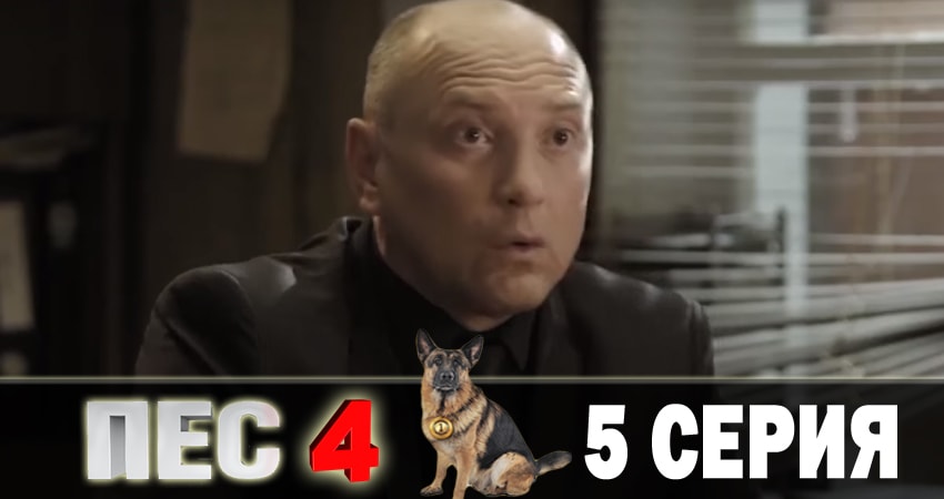 Пес (сериал) 4 сезон 5 серия смотреть в хорошем качестве