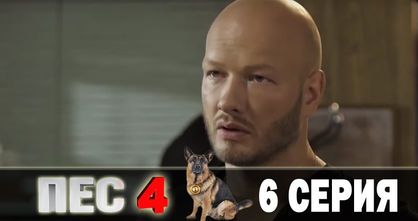 Смотреть Пес (сериал) 4 сезон 6 серия онлайн бесплатно без смс