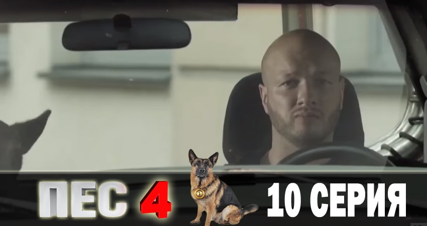 Сериал Пес (сериал) (4 сезон, 2018) смотреть онлайн