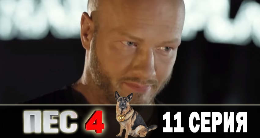 Сериал Пес (сериал) 4 сезон 11 серия онлайн в качестве 1080p