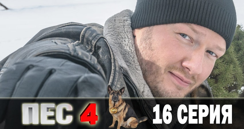 Cмотреть сериал Пес (сериал) 4 сезон 16 серия онлайн бесплатно