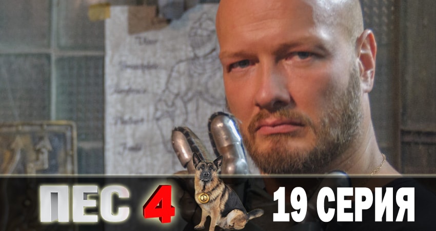 Смотреть сераил Пес (сериал) (2018) 4 сезон 19 серия HD 1080, 4K