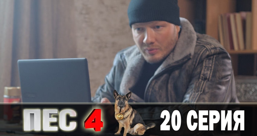 Смотреть Пес (сериал) 4 сезон 20 серия онлайн бесплатно без смс