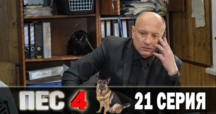 Сериал Пес (сериал) (2018) 4 сезон 21 серия смотреть онлайн в качество 1080 HD или 4K