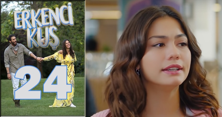 Ранняя пташка (Erkenci Kus) (2024) 1 сезон 24 серия смотреть онлайн без рекламы