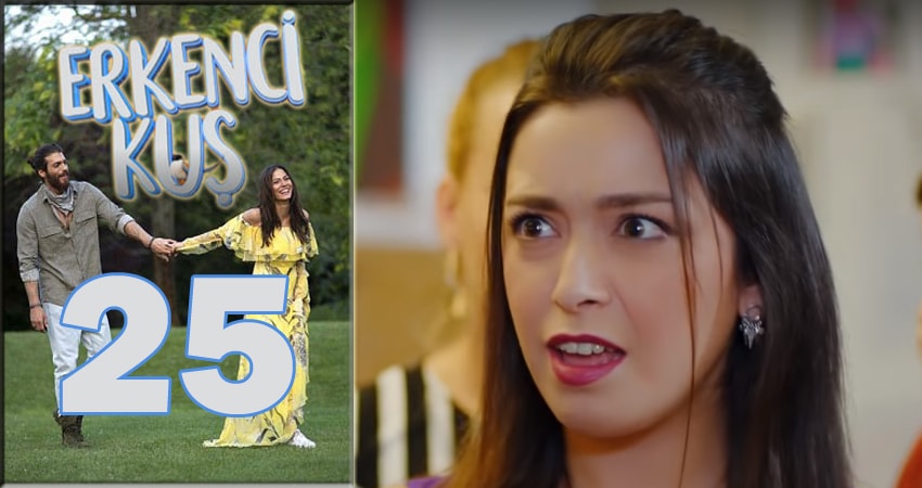 Ранняя пташка (Erkenci Kus) 1 сезон 25 серия все серии подряд онлайн бесплатно
