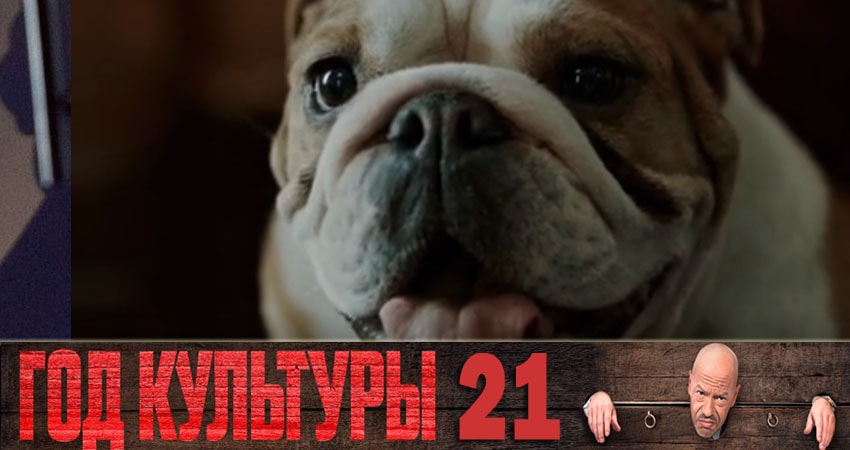 Год культуры (1-й сезон) WEBRiP