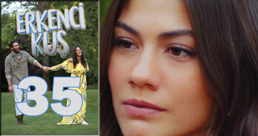 Смотреть сериал Ранняя пташка (Erkenci Kus) (2024) 1 сезон 35 серия в хорошем качестве онлайн