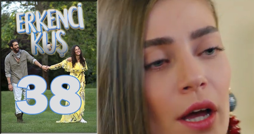 Ранняя пташка (Erkenci Kus) (2024) 1 сезон 38 серия полностью смотреть бесплатно без рекламы