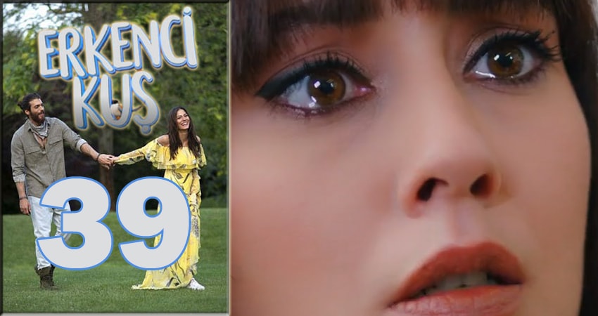 Ранняя пташка (Erkenci Kus) (2024) 1 сезон 39 серия смотреть онлайн без рекламы