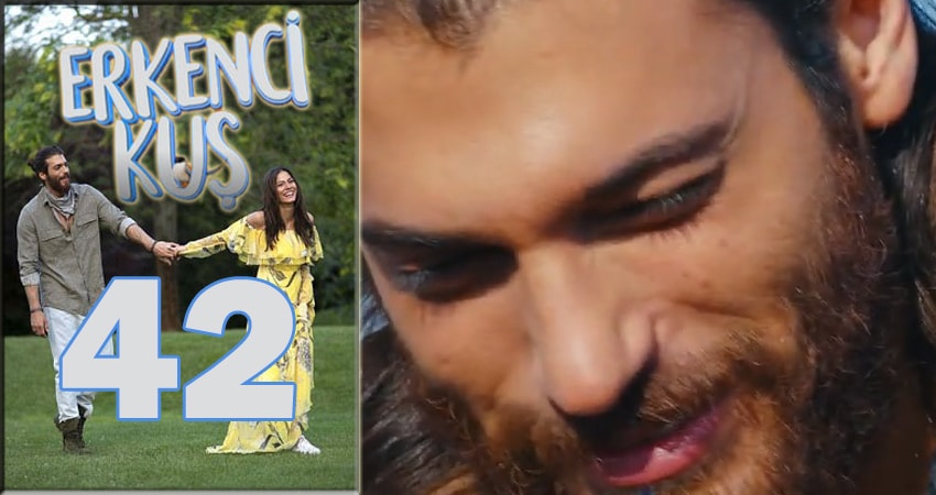 Сериал Ранняя пташка (Erkenci Kus) (2024) 1 сезон 42 серия смотреть бесплатно в хорошем качестве