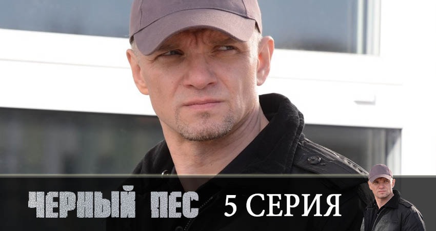 Черный пес (1 сезон) сколько серий