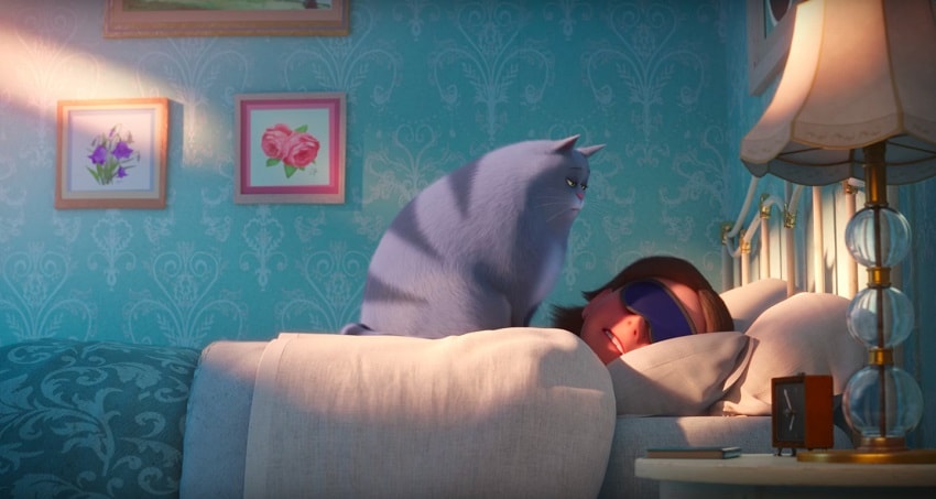 Тайная жизнь домашних животных 2 (Франция) 2019 смотреть в HD 1080 без регистрации