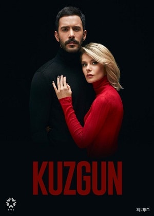 Ворон (Kuzgun) 1-й сезон (2019, Турция) смотреть сериал онлайн