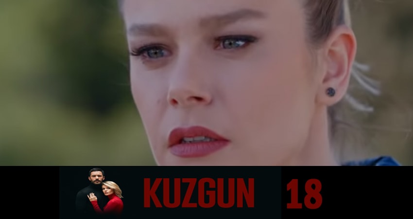 Ворон (Kuzgun) 1 сезон 18 серия смотреть онлайн в качестве 4K