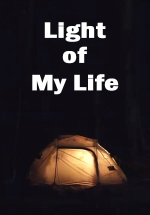 Фильм Свет моей жизни (2019) смотреть онлайн бесплатно в HD 720, 1080 качестве