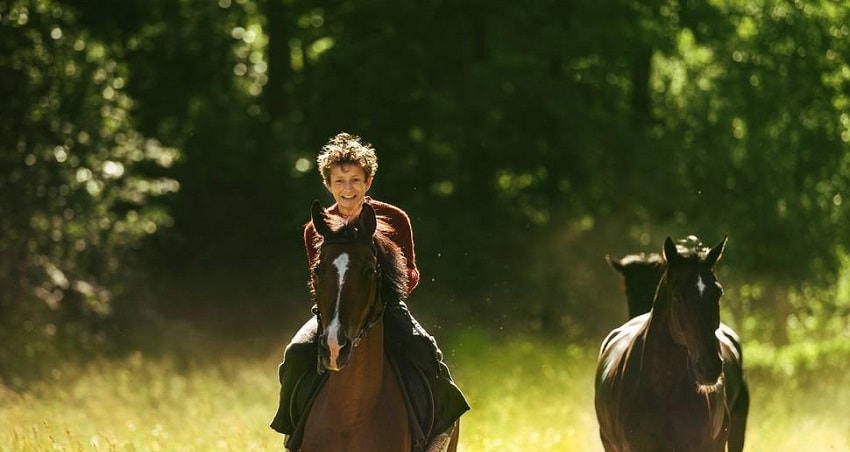 Угоняя лошадей (2019) смотреть бесплатно в хорошем качестве