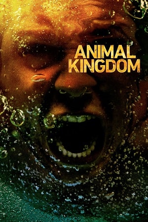 По волчьим законам (Animal Kingdom) 4 сезон, 1-13,14,15 серия (2019, США) смотреть сериал онлайн