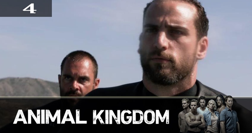 Сериал По волчьим законам (Animal Kingdom) (4-й сезон) 2019 сколько серий