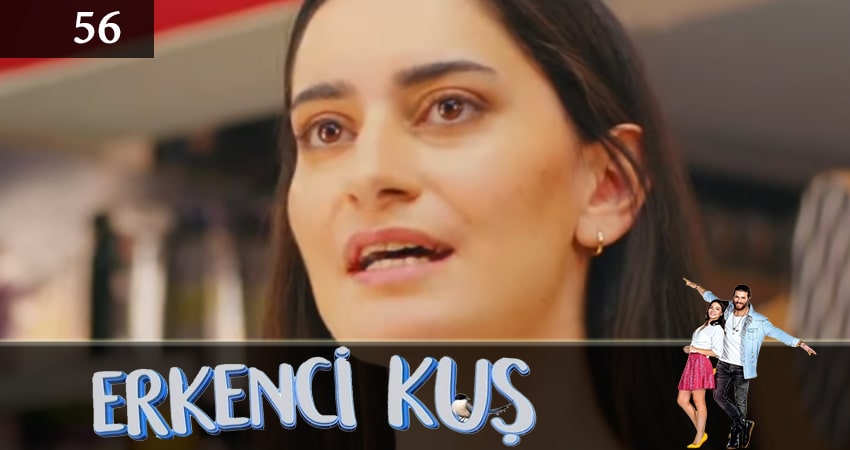 Ранняя пташка (Erkenci Kus) 1 сезон 56 серия все серии подряд онлайн бесплатно