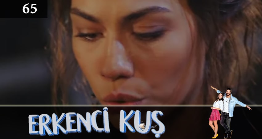 Смотреть Ранняя пташка (Erkenci Kus) 1 сезон 65 серия онлайн бесплатно без смс