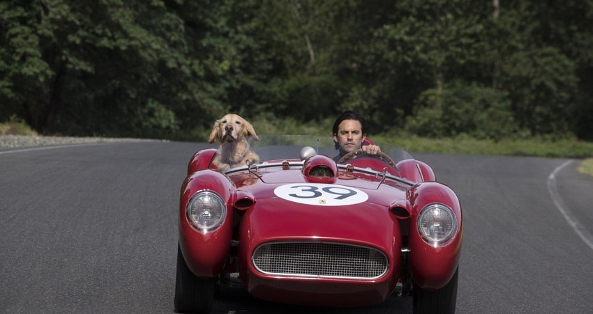 Невероятный мир глазами Энцо (2019) смотреть все серии