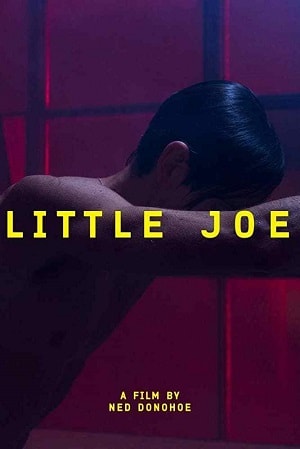 Малыш Джо (2019) смотреть онлайн в отличном качестве 1080p