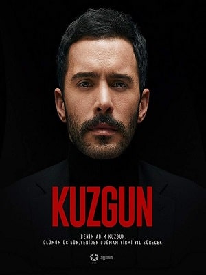 Ворон (Kuzgun) 2-й сезон (2019, Турция) смотреть онлайн
