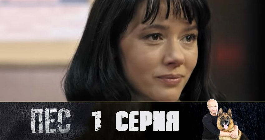 Пес (сериал) (5 сезон, 1-20,21,22 серия) сериал где смотреть