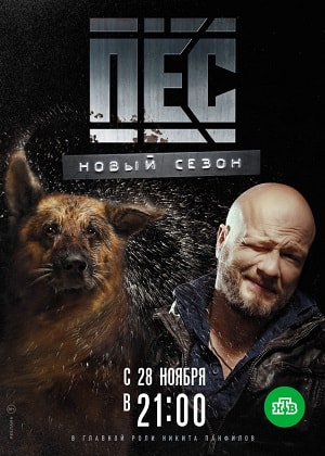 Пес (сериал) 6 сезон (2019) смотреть сериал онлайн