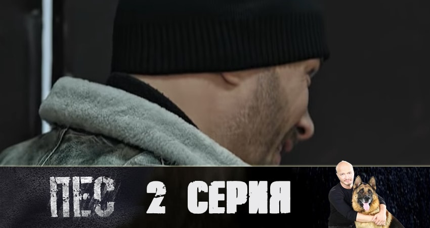 Пес (сериал) (6 сезон) сериал 2019 лорд фильм