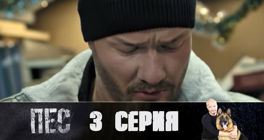 Пес (сериал) (6 сезон) 2019 смотреть онлайн