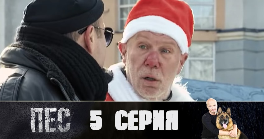 Пес (сериал) 5 сезон 5 серия смотреть бесплатно в хорошем качестве