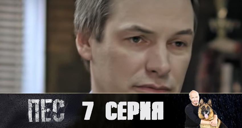 Cмотреть сериал Пес (сериал) 5 сезон 7 серия онлайн бесплатно