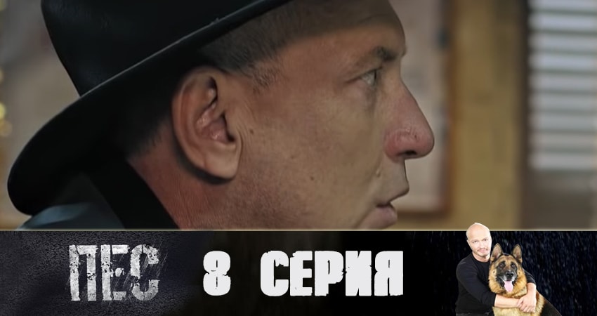 Будет ли продолжение сериала Пес (сериал) (5 сезон, 1-20,21,22 серия)