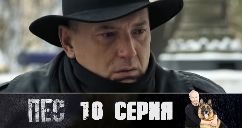 Пес (сериал) (2019) 5 сезон 10 серия смотреть онлайн без рекламы и регистрации