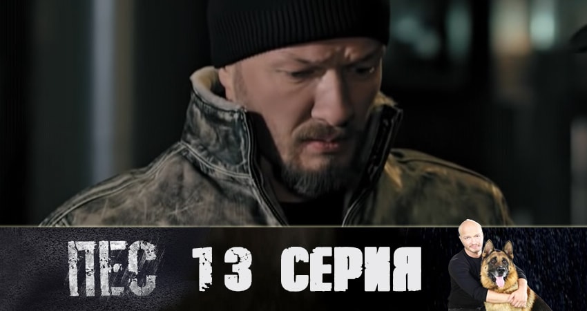 Пес (сериал) (2019) 5 сезон 13 серия смотреть онлайн в хорошем качестве