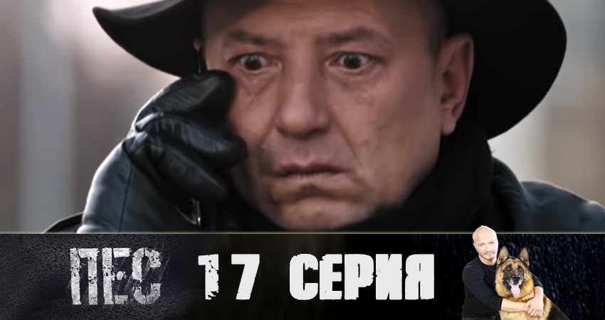 Сериал Пес (сериал) (5 сезон, 2019) смотреть онлайн бесплатно в хорошем качестве