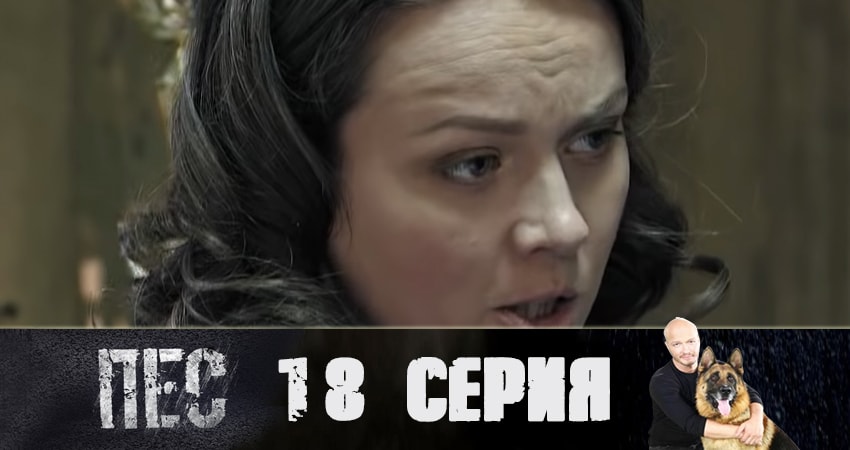 Пес (сериал) (2019) 5 сезон 18 серия смотреть в 4K качестве онлайн