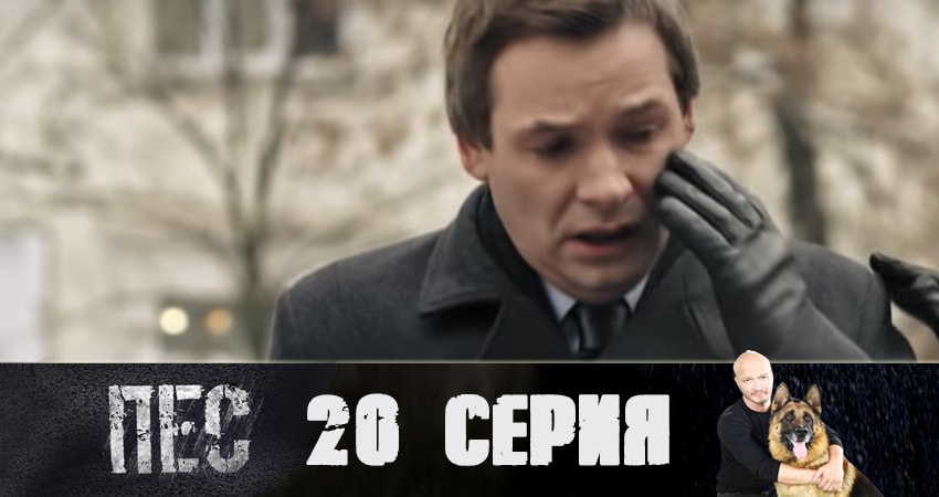 Смотреть сериал Пес (сериал) (2019) 5 сезон 20 серия в хорошем качестве онлайн