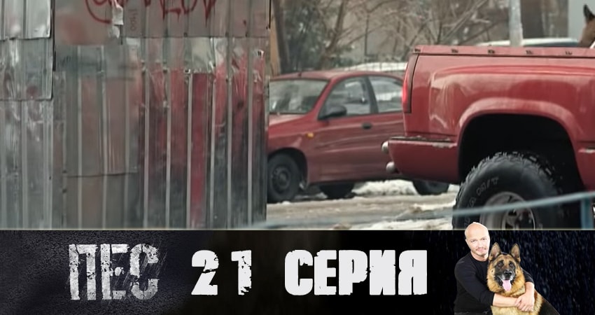 Пес (сериал) 5 сезон 21 серия смотреть онлайн на телефоне бесплатно