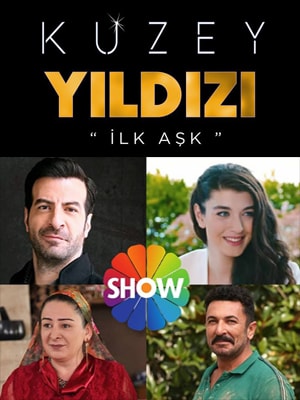 Полярная звезда (Kuzey Yildizi) 1 сезон (2019, Турция) смотреть онлайн